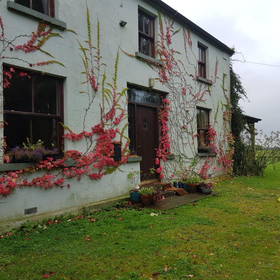 Oldfarm Villa Nenagh Exterior photo